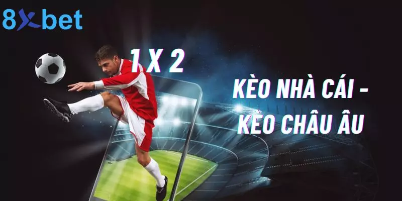 Kèo Nhà Cái Là Gì? 8xbet Bật Mí Các Loại Kèo Phổ Biến Nhất Kèo Châu Âu - hấp dẫn với cách chơi đơn giản, tỷ lệ trả thưởng cao