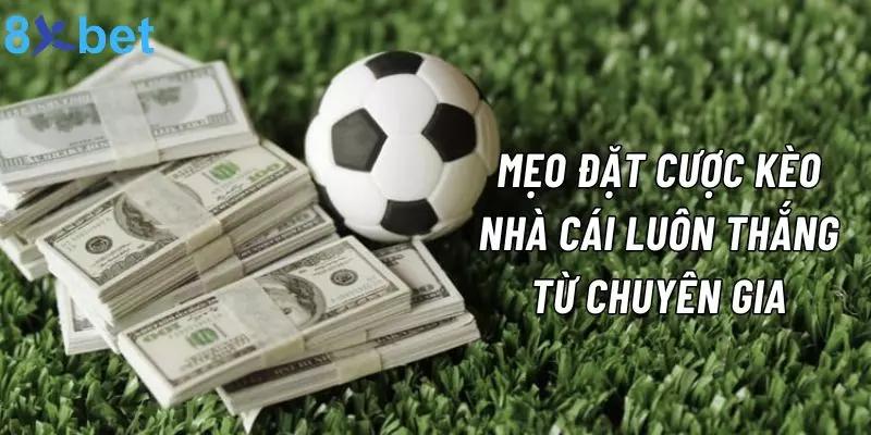 Kèo Nhà Cái Là Gì? 8xbet Bật Mí Các Loại Kèo Phổ Biến Nhất 8xbet chia sẻ mẹo phân tích tỷ lệ kèo nhà cái luôn thắng từ chuyên gia